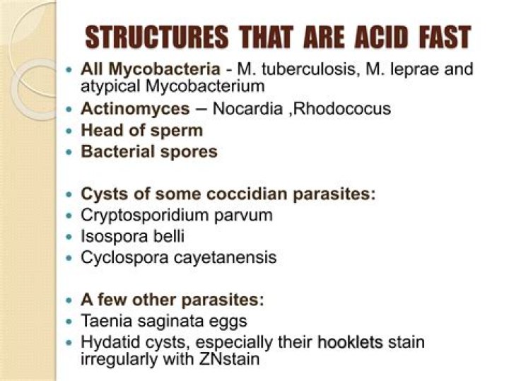 Are all mycobacteria acid fast?