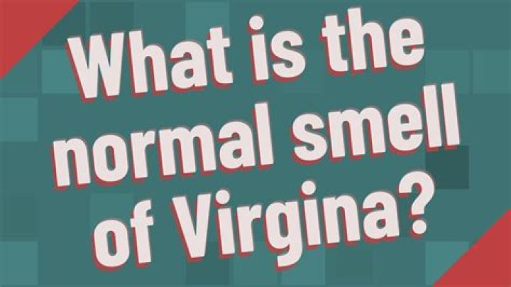 What is the normal smell of virgina?