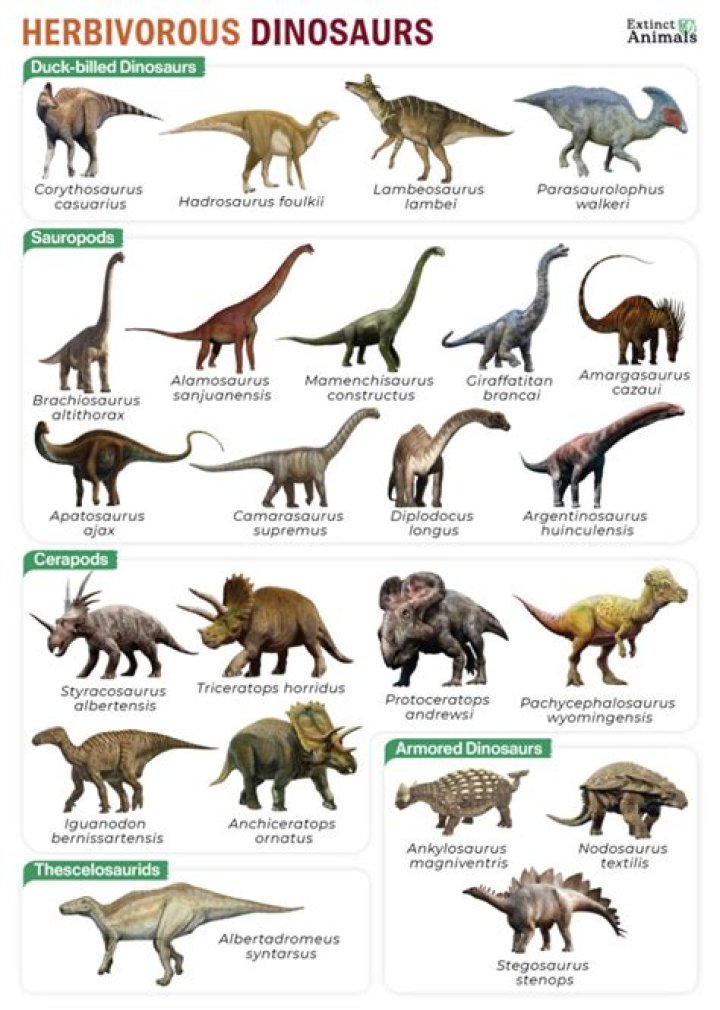 Which dinosaurs hunted in packs?